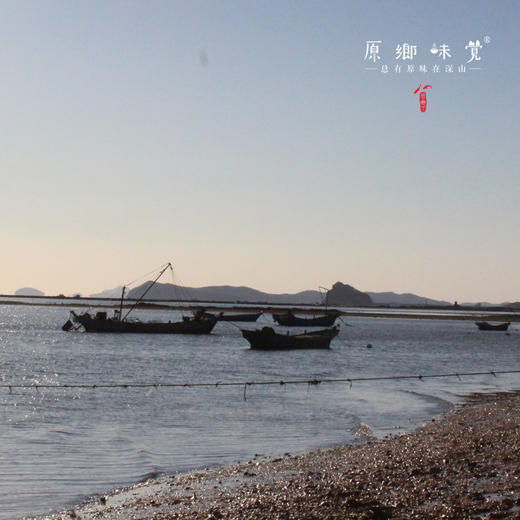 野生辽刺参/海参（成都仓库-顺丰包邮） |  多种规格，来自辽宁大连，生产者：蔡殿双【合作生产，公平贸易】 商品图4