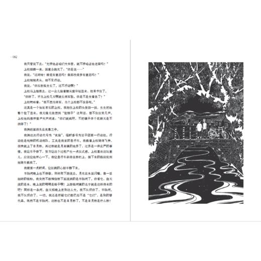 孤单的少校 薛涛 中国新闻出版广电报2018年度好书 正版儿童小说 商品图1