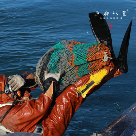 野生辽刺参/海参（成都仓库-顺丰包邮） |  多种规格，来自辽宁大连，生产者：蔡殿双【合作生产，公平贸易】 商品图1