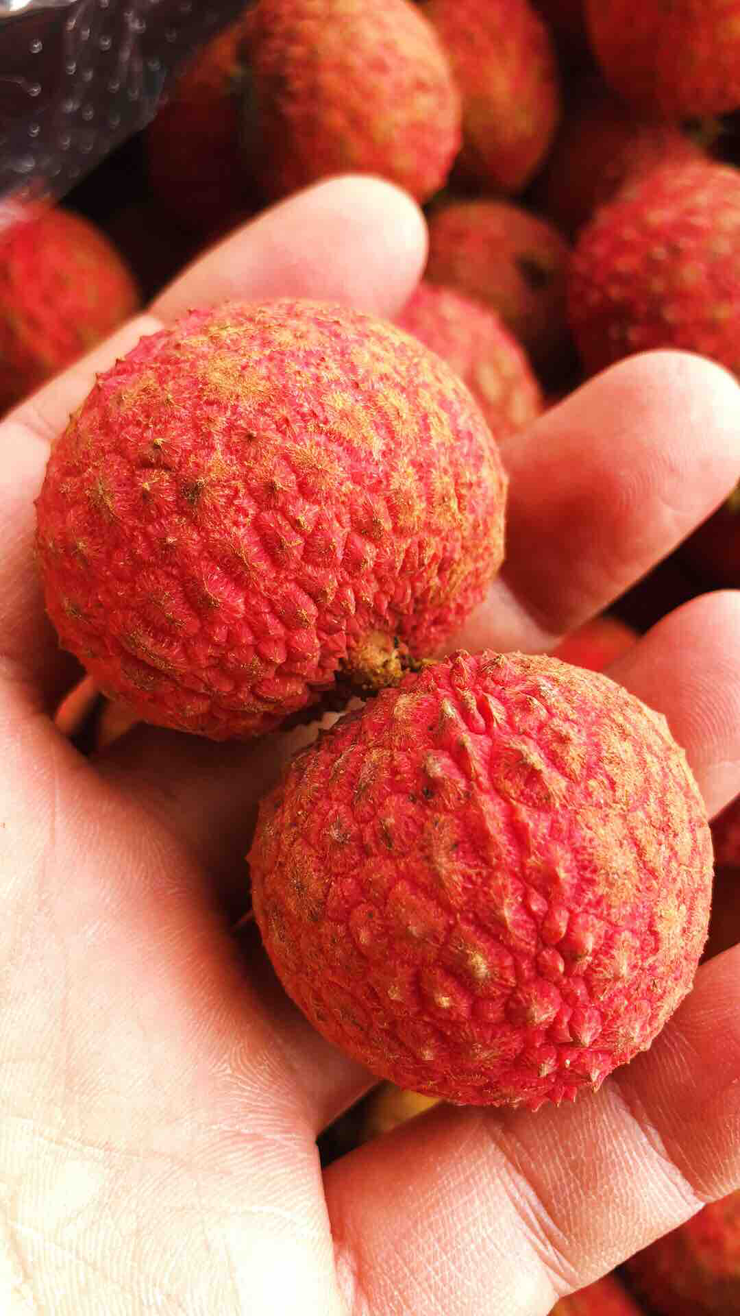 澳洲空运76荔枝桂味荔枝品种满嘴的香甜沁人心脾关键在寒冷冬季还能