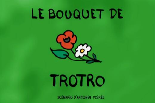 53.Le bouquet de Trotro 商品图0