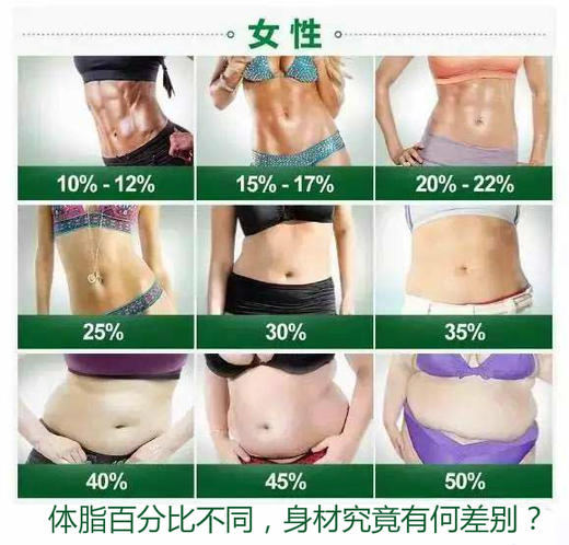 纽崔莱纤脂乐/临床实验证明90天饮食控制加300mgGSP可平均减重13.9kg 商品图4