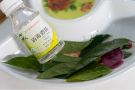 思维类：探索色彩和叶绿素