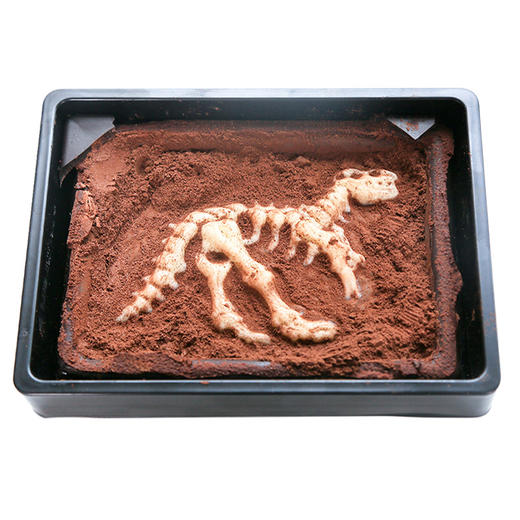 寻找田野 恐龙考古系列益智巧克力 商品图4