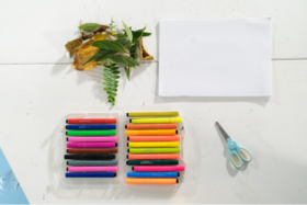 艺术类：植物的另一半