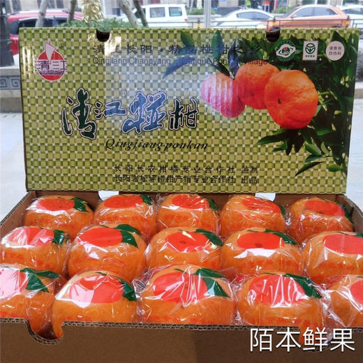 清江椪柑荣获口感优等产地货源特级超特级椪柑 商品图1