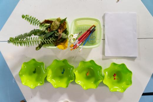 艺术类：植物印画 商品图0