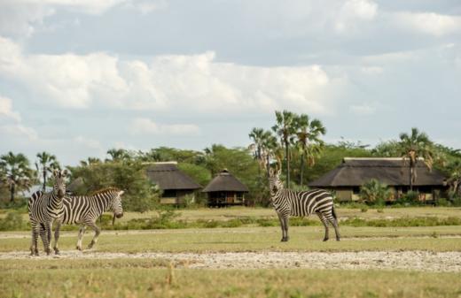 坦桑尼亚2023.08.14-08.22 商品图1