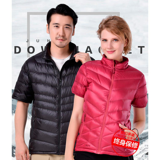 君羽 女款 暮色鹅绒服短袖立领 超轻便保暖 C52042 商品图4