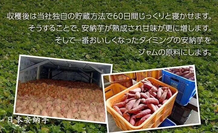 日本种子岛安纳蜜芋 冰淇淋红薯