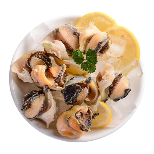 美加佳 冷冻土耳其海螺肉 200g