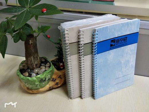 线圈本（一包4本） 商品图1