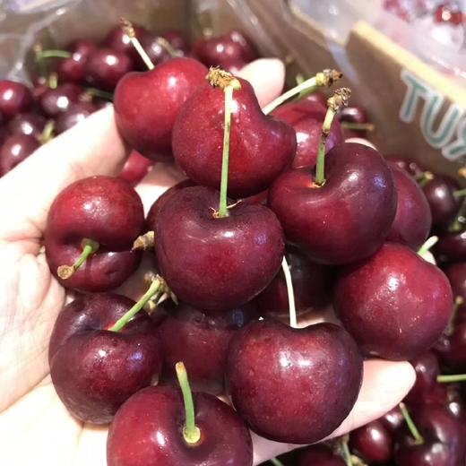 智利进口新鲜樱桃royaldawn车厘子硬度好甜度好3斤装5斤装原装箱约10