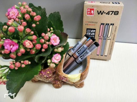 华欣-中性笔（12支） 商品图2