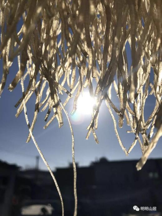 明明定制传统手工红薯粉条（2025年11月底制作） 商品图3