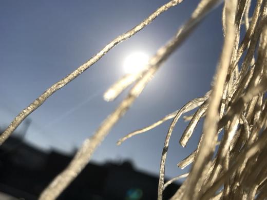 明明定制传统手工红薯粉条（2025年11月底制作） 商品图2