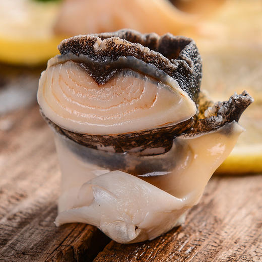 美加佳 冷冻土耳其海螺肉 200g