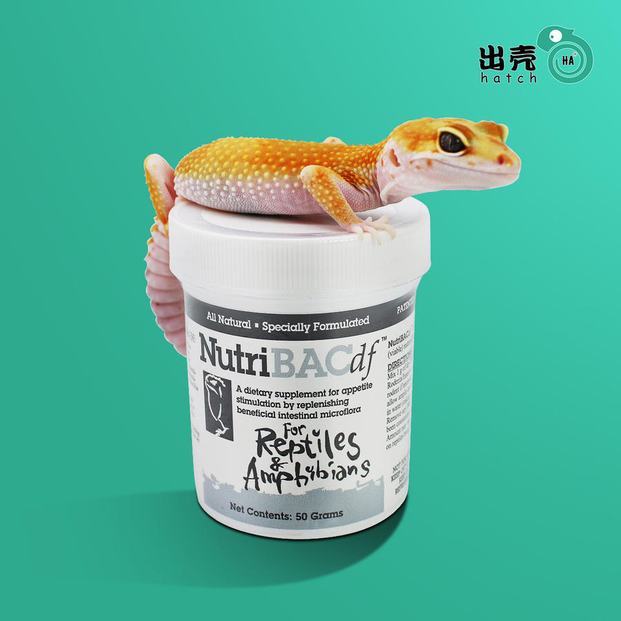 美国进口nutribac爬宠爬虫肠胃调理益生菌陆龟蜥蜴蛙拉稀拒食腹泻