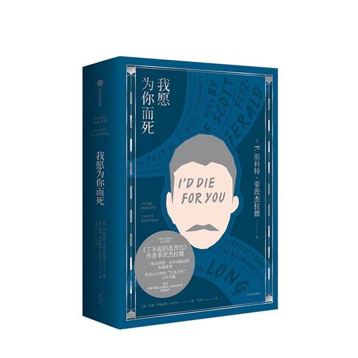 我愿为你而死 菲茨杰拉德 著 商品图2