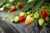3斤草莓 农场新鲜采摘 门店自提 商品缩略图5