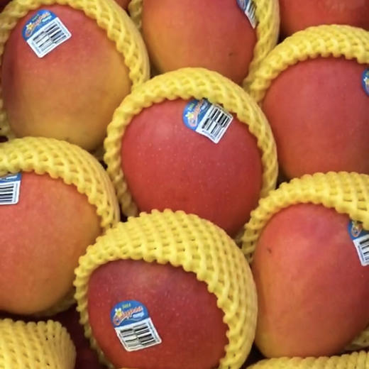 澳大利亚Mango芒果香气十足，口感细腻光滑！澳洲空运直达，Ole、高岛屋等商超同款哦[得意] 商品图13