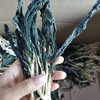 生态白菜干 | 绿家自产*Ecology dried vegetable | Self-production 商品缩略图4