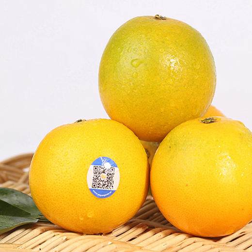 褚橙——一位匠心老人种的冰糖橙 商品图8