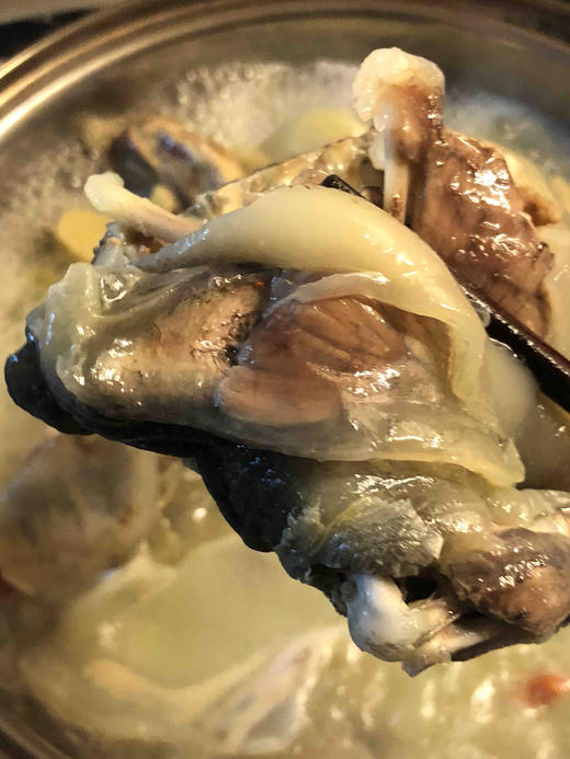 #外塘甲鱼·四年老鳖#肉质饱满，糯糯的胶质，扎实的腿肉，鲜美的甲鱼汤。 商品图0