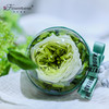 永生花系列车挂貂毛兔 商品缩略图3