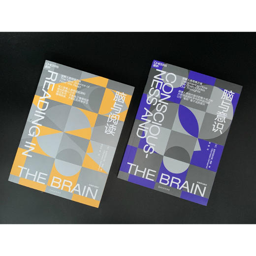 湛庐┃脑科学与终身学习 套系：脑与阅读+脑与意识 共2册 商品图3