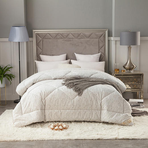 石墨烯暖绒冬被 商品图0