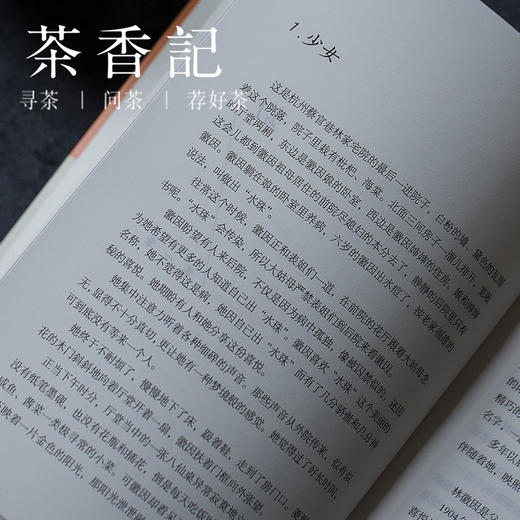 茶香记 《林徽因传》 张清平著 中华书局出版 人物传记 传奇一生 建筑 艺术 商品图1