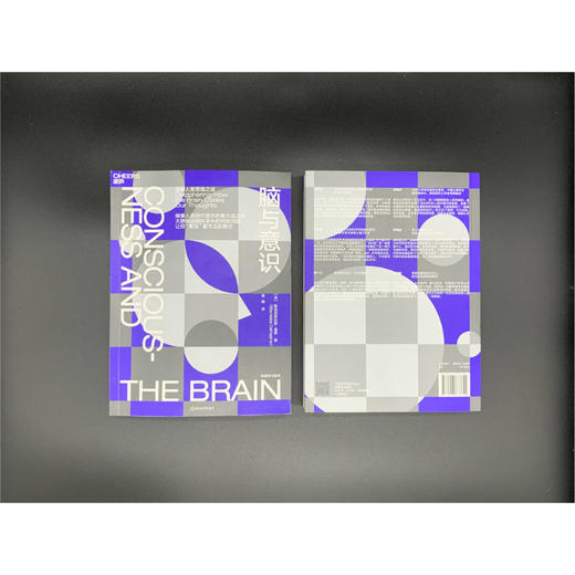 湛庐┃脑与意识 商品图2