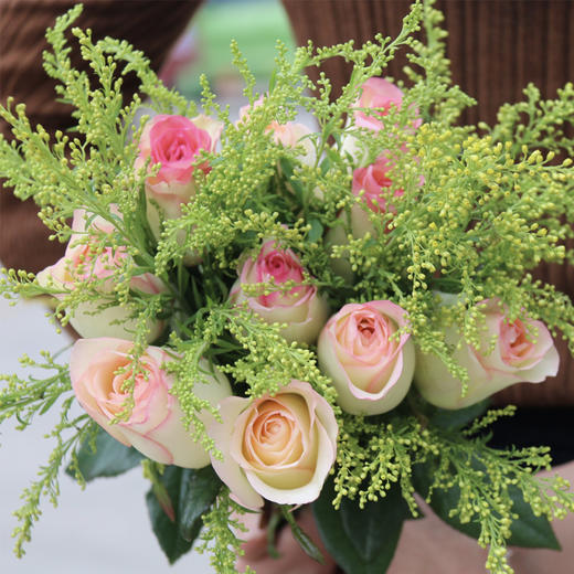 【赠品】「黄莺」| 5枝,万能配花,随主商品同时发货tp