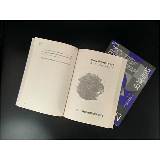 湛庐┃脑与意识 商品图4