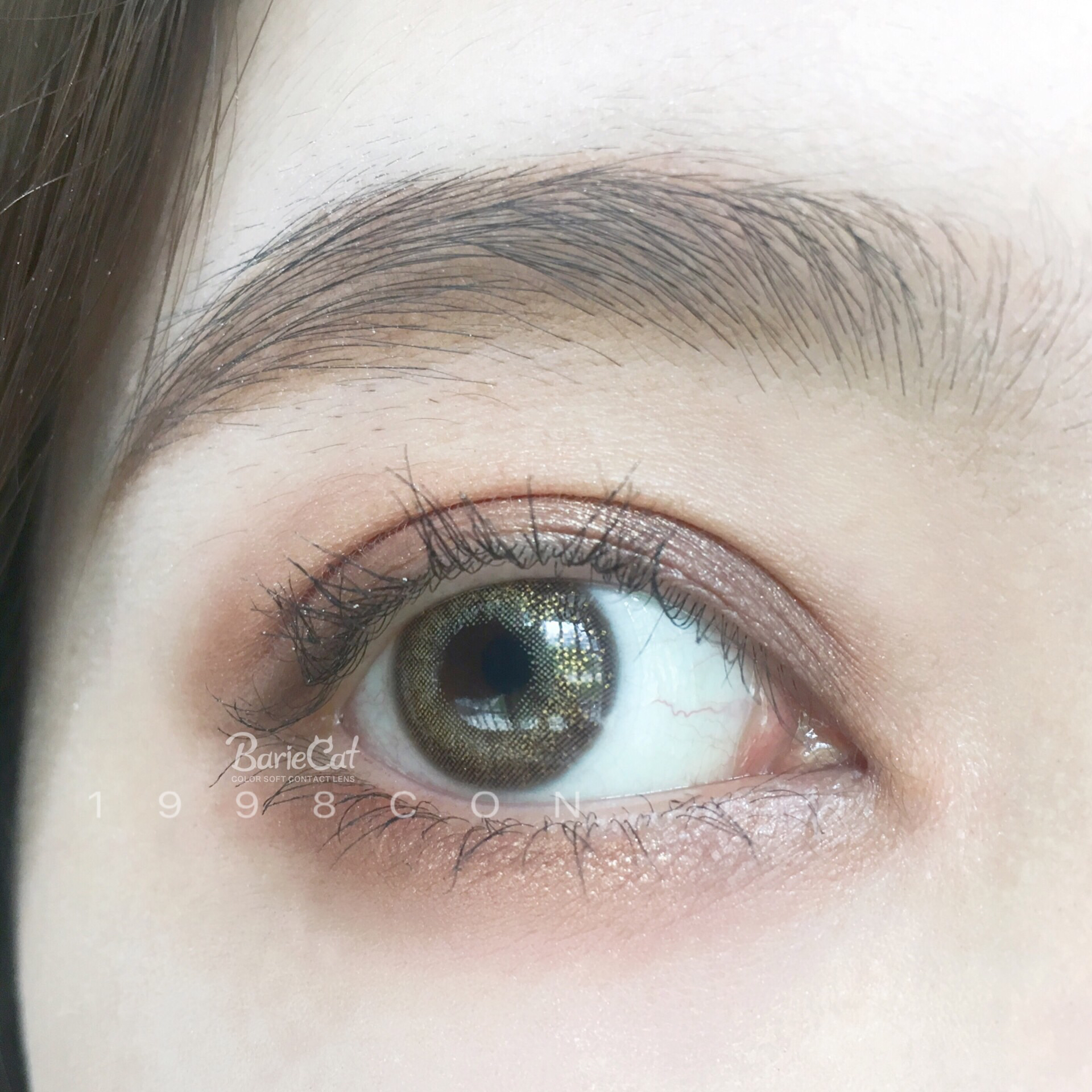 云雾棕升级版云雾金