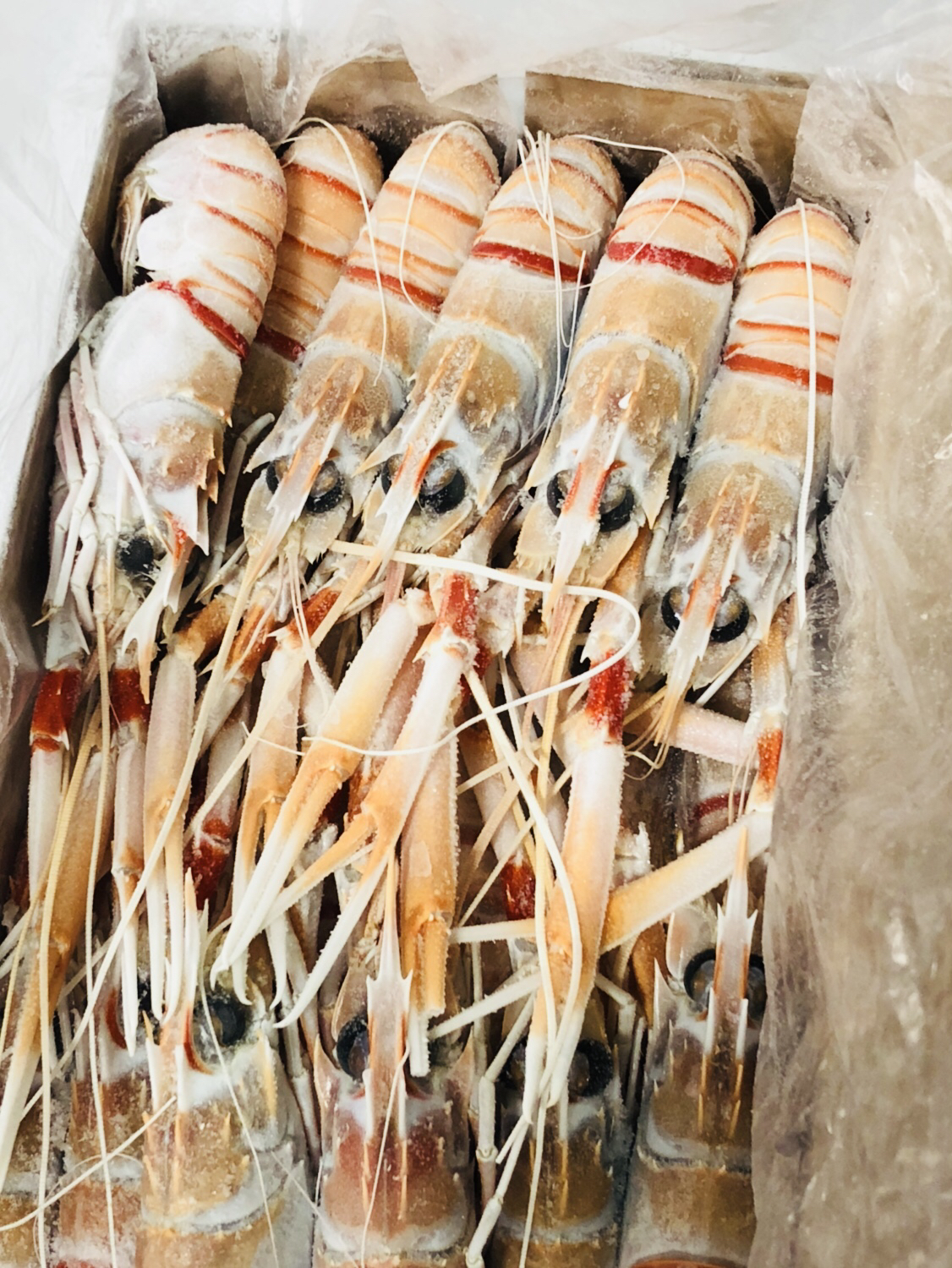 顶级食材·新西兰鳌虾#兰维乐出品scampi,全世界最美味的虾