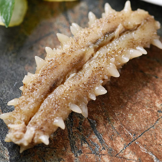 美加佳冷冻即食黄金海参610只250g袋装