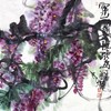 叶烂-真迹-花鸟画《密叶隐歌鸟》  办公室  书房 客厅 商品缩略图1