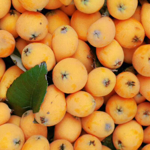 白富美·蜜汁枇杷
品质巅峰！个个漂亮，光洁无斑，柔软多汁！真的已经很甜[耶]可以放心购买哦[嘿哈] 商品图7