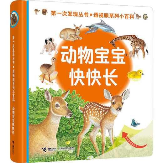 第一次发现丛书 透视眼系列·透视眼系列小百科（共4册）法国儿童经典科普童书 神奇透明胶片 多维度立体思维 商品图4