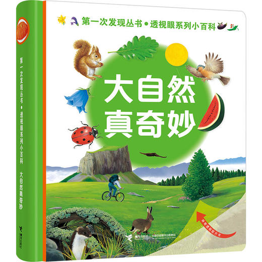 第一次发现丛书 透视眼系列·透视眼系列小百科（共4册）法国儿童经典科普童书 神奇透明胶片 多维度立体思维 商品图3