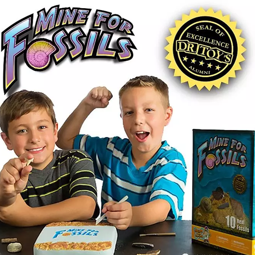 【开团】挖掘系列套装，亲手挖恐龙化石、宝石、昆虫标本、鲨鱼牙齿！足不出户，体验真实考古！