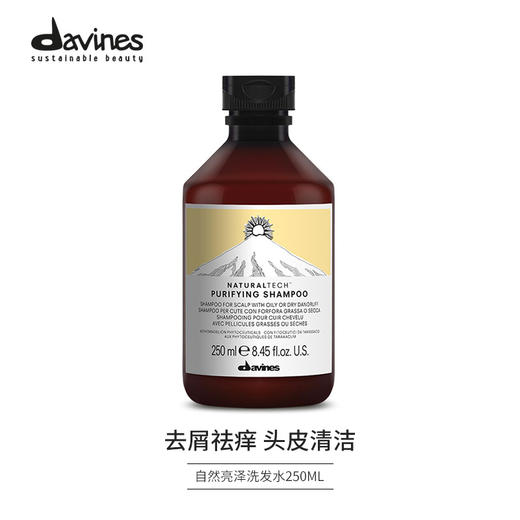 意大利Davines大卫尼斯 自然科技系列 洗发水护发素发膜 商品图0