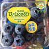 百年老牌【Driscoll's限量版·云南怡颗莓/蓝莓王】2盒/份；12盒/原箱（净含量:125g/盒） 商品缩略图3