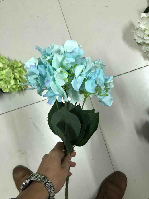 5头绣球把束【运费自理】 商品图10