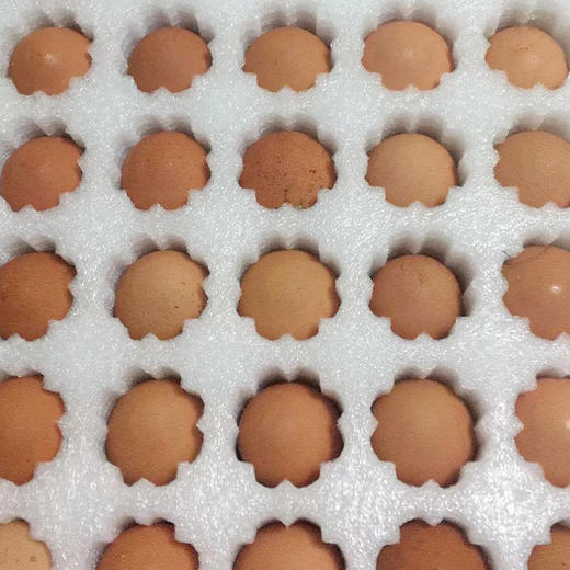 鸿翠园 溜达鸡的蛋 有机笨鸡蛋 有机食蔬饲喂  0饲料添加 商品图1