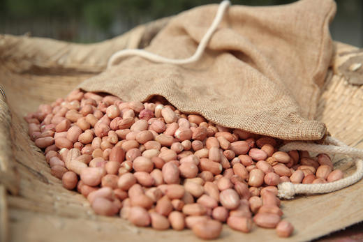 种子 一斤 商品图2