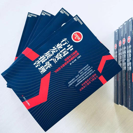 湛庐┃2018年中国资产管理行业发展报告：新旧监管体系转换中的资产管理行业转型 商品图2