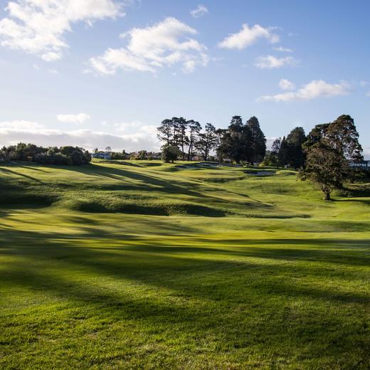蒂蒂朗基高尔夫俱乐部Titirangi Golf Club| 新西兰高尔夫球场 俱乐部 | 奥克兰 | 北岛 商品图1